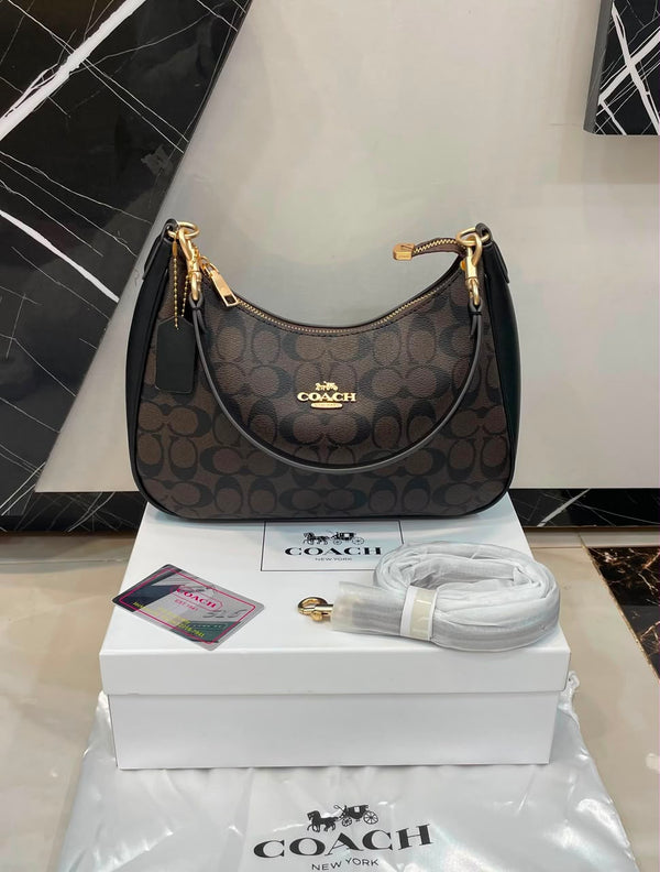 Coach Teri Hobo Bag in Signature Canvas