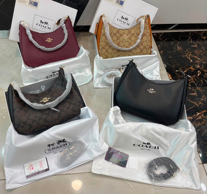 Coach Teri Hobo Bag in Signature Canvas